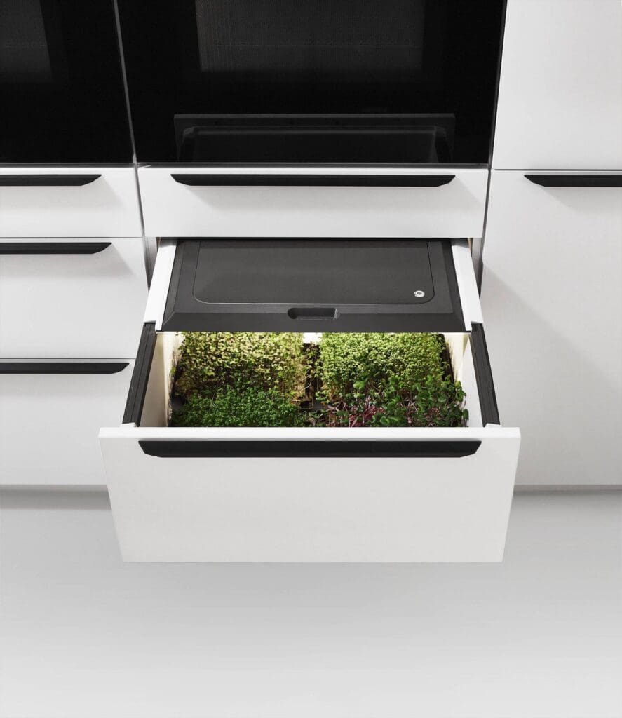 zero-waste kitchens- MHK Kitchen Experts